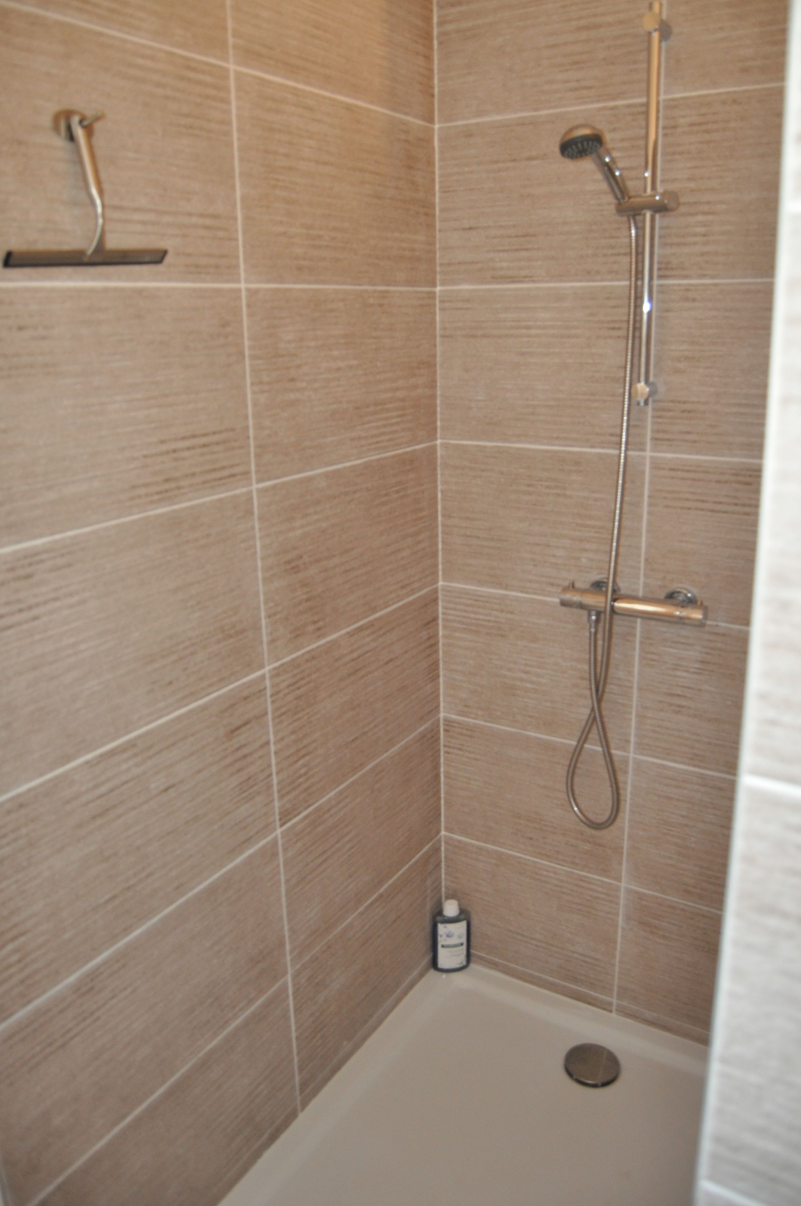 Zona de ducha con ducha de mano, ducha empotrada en la pared y rociador de mano.