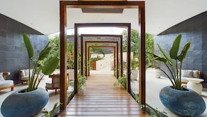 Terrace/patio - Tulum Studio · Cenote, Plunge Pool & Spa (tulum)