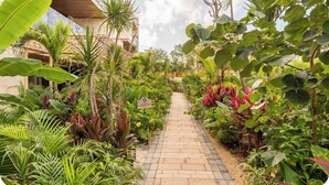 Property grounds - Tulum Studio · Cenote, Plunge Pool & Spa (tulum)