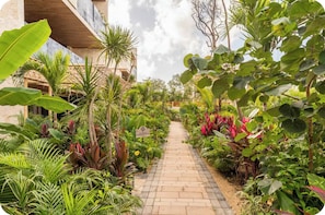Property grounds - Tulum Studio · Cenote, Plunge Pool & Spa (tulum)