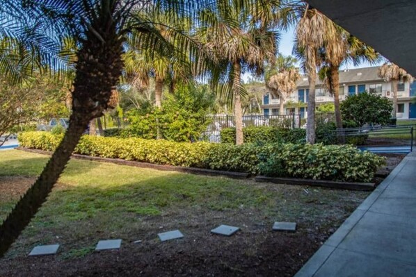 A landscaped garden with palm trees, a pathway, and a building with multiple windows in the background.
