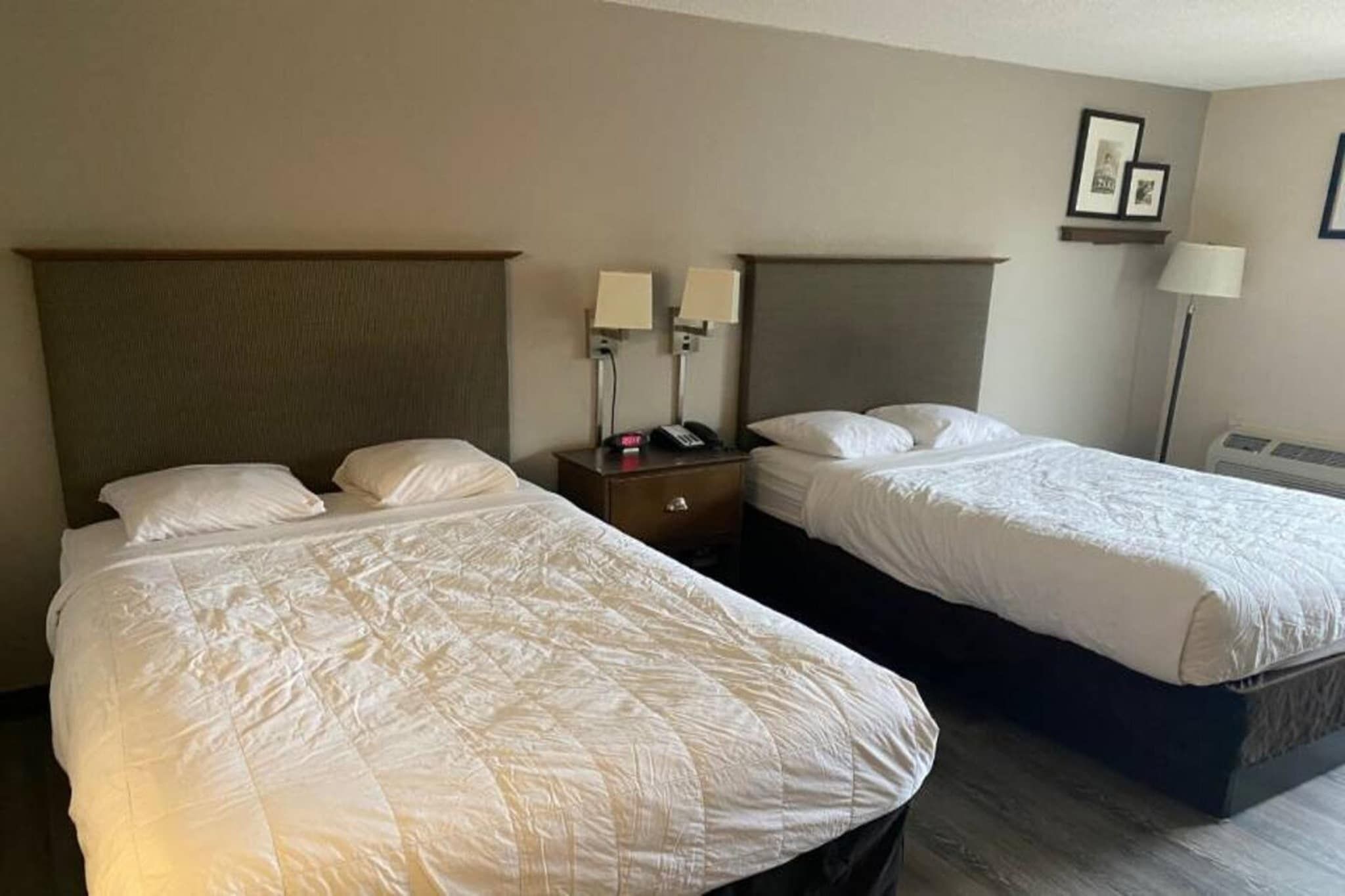 Camera d'albergo con due letti, un comodino con telefono e lampada, ed uno scaffale a parete con fotografie.