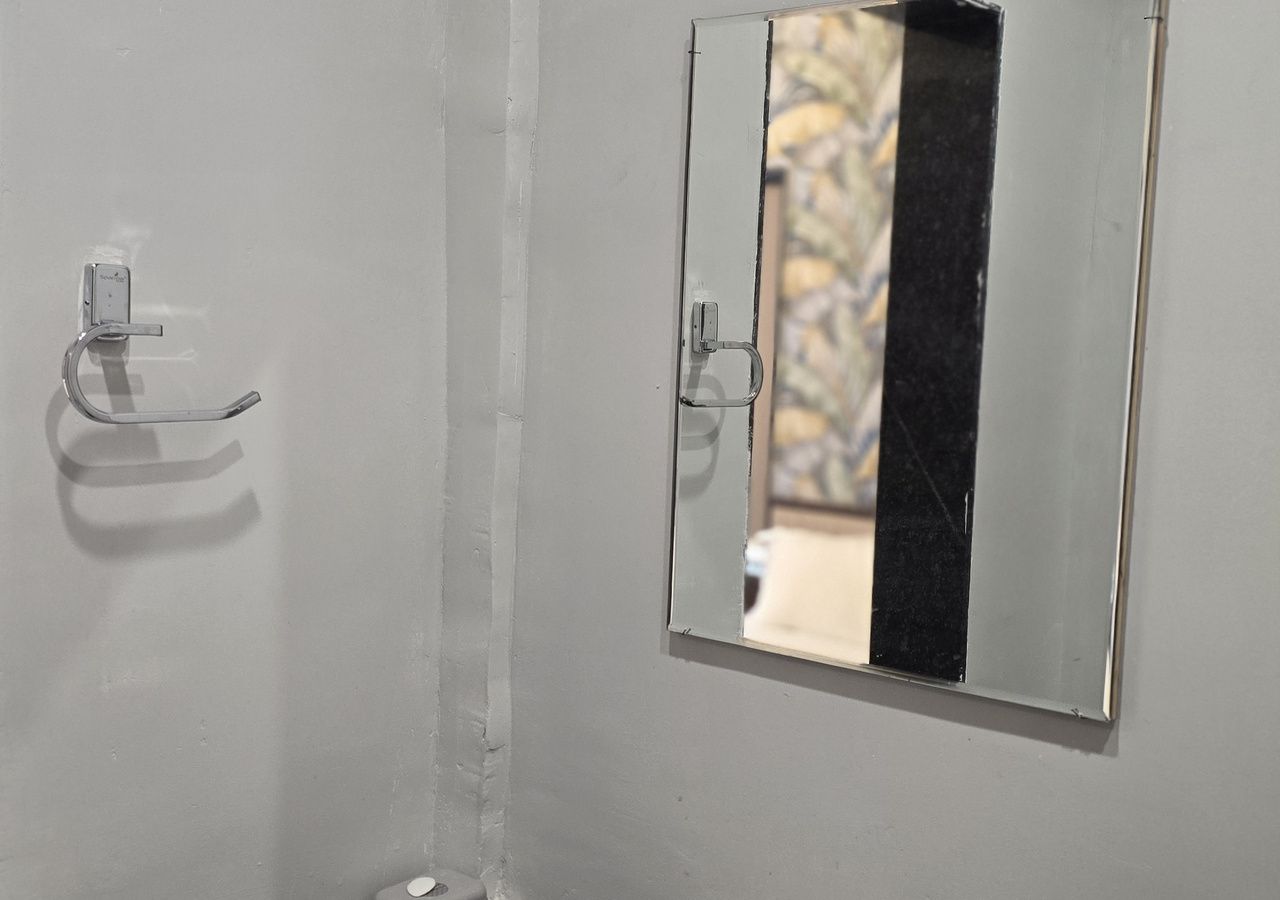 Un baño con espejo, toallero y puerta.