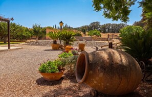 A garden with potted plants, a large terracotta pot, and a stone wall.