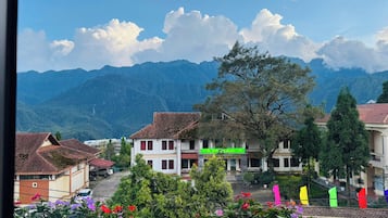 Un barrio residencial con casas, un árbol grande y montañas al fondo.