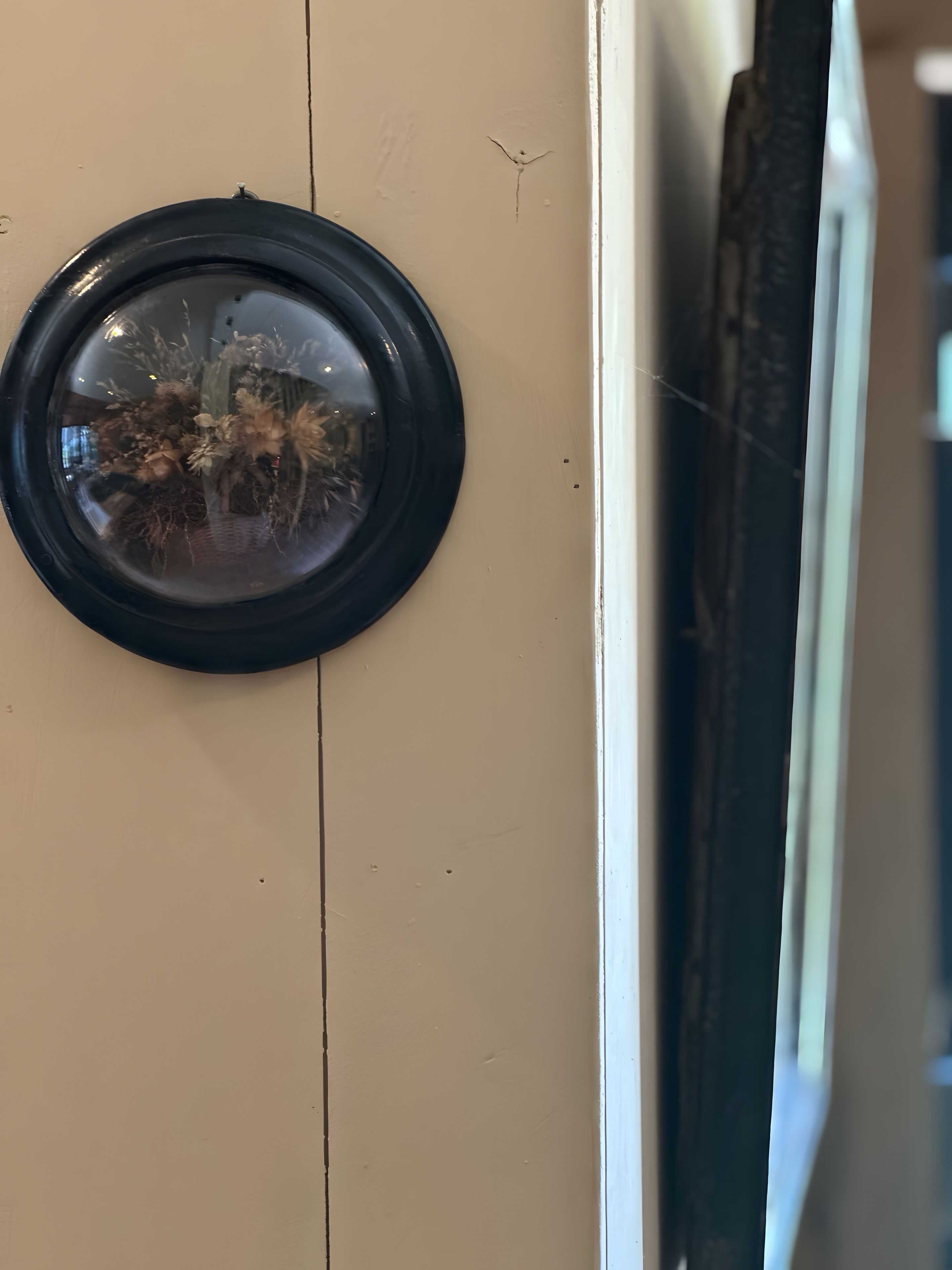 Una puerta con un objeto circular, posiblemente un espejo, y el reflejo de una habitación con una planta.