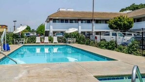 A swimming pool with lounge chairs and umbrellas, surrounded by a fence and a building with multiple windows. - 2 Queen Beds | Non-Smoking (OAKDALE)