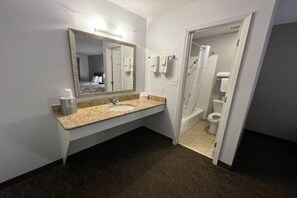 Casa de banho com lavatório de bancada em granito, um espelho grande e zona de duche.