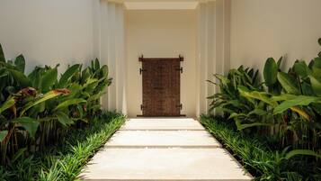 A pathway leading to a wooden door with a traditional design, flanked by lush green plants.
