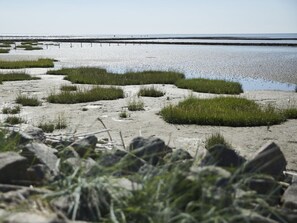 En strand med klitter og en fjer pier.