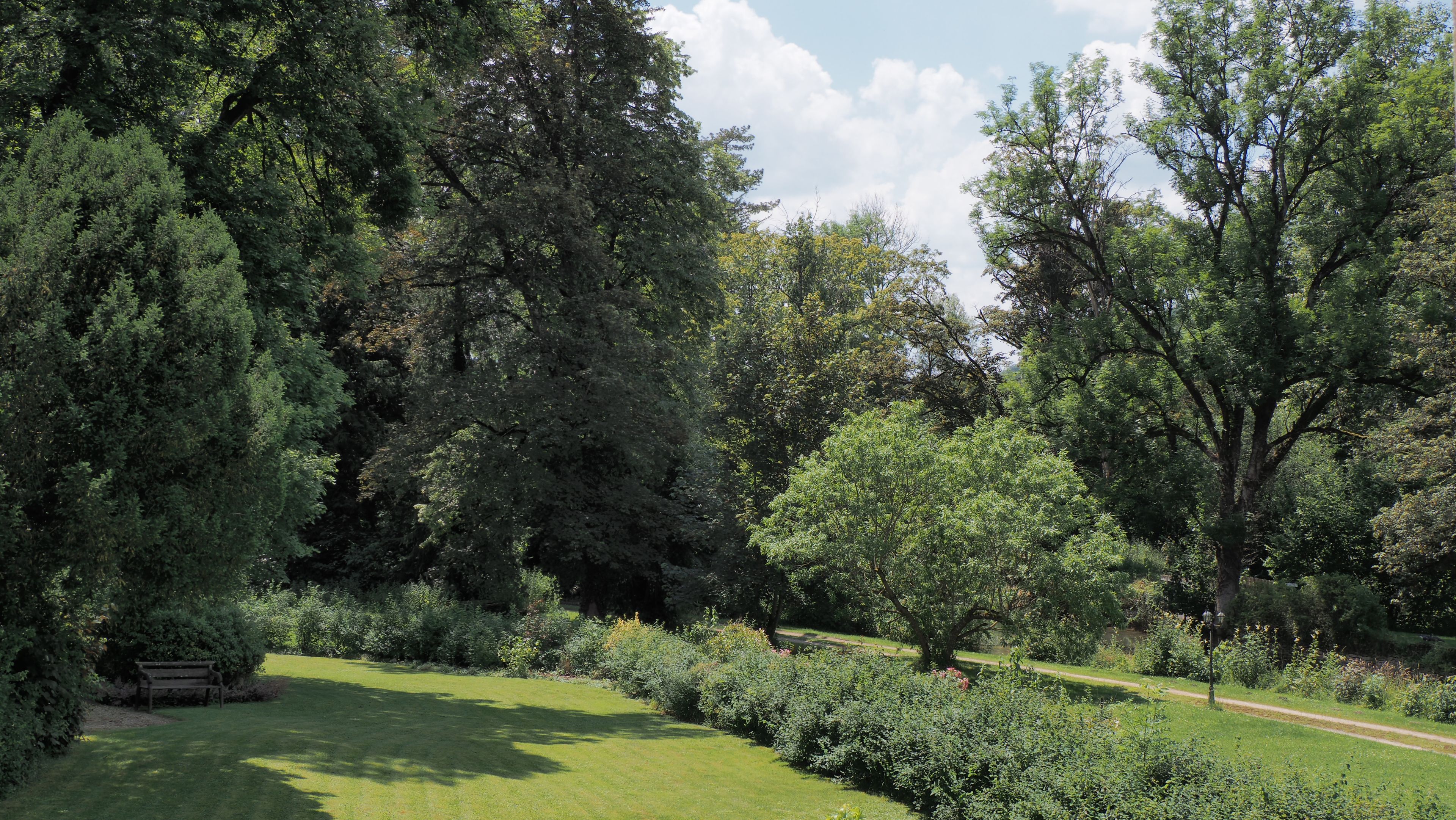 Een park met een gazon, een wandelpad en diverse bomen.