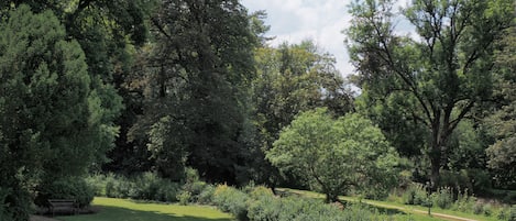 Ein Park mit einer Rasenfläche, einem Gehweg und verschiedenen Bäumen.