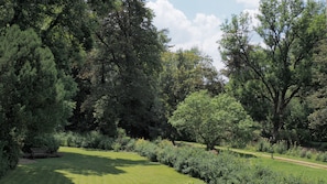 Un parc doté d’une pelouse, d’un sentier pédestre et de différents arbres.