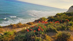 Eine Küstenlandschaft mit Blick auf das Meer, ein Sandstrand und rote Blumen im Vordergrund.