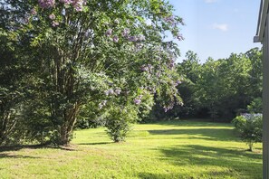 Ein grünes Rasenstück mit einem großen Baum, der violette Blüten trägt, ein klarer Himmel und ein Gebäude auf der rechten Seite.