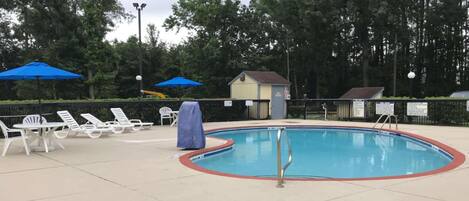 A swimming pool with lounge chairs and umbrellas, surrounded by trees.