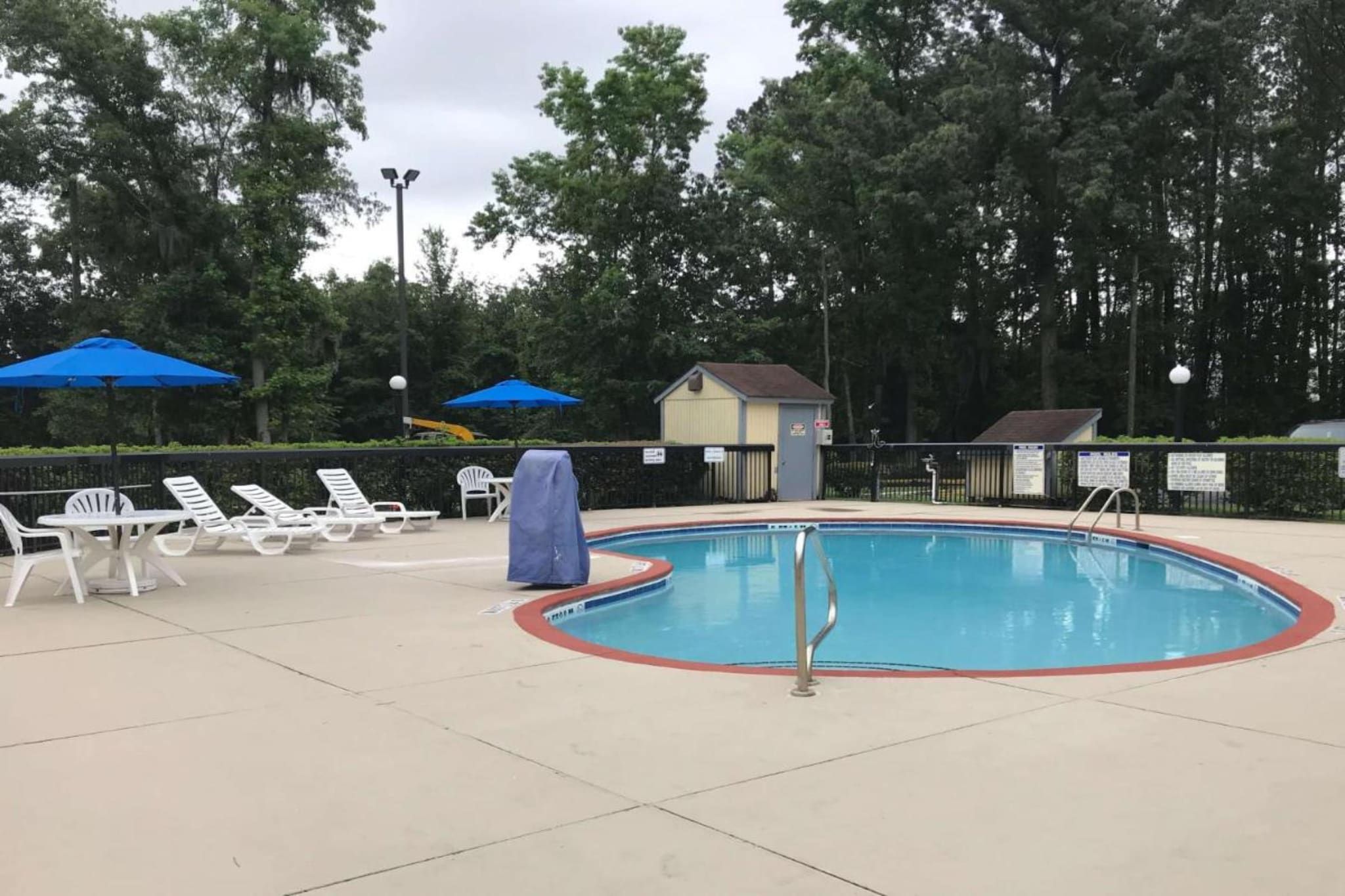 A swimming pool with lounge chairs and umbrellas, surrounded by trees.