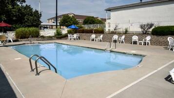 A rectangular swimming pool with a metal ladder on one side, surrounded by white plastic chairs and a stone wall.
