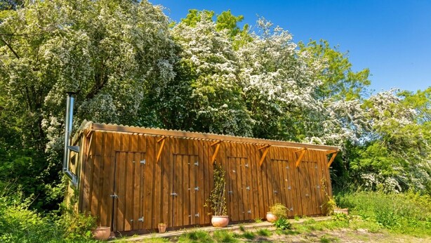 A wooden shed with a corrugated roof, surrounded by lush greenery and flowering trees.