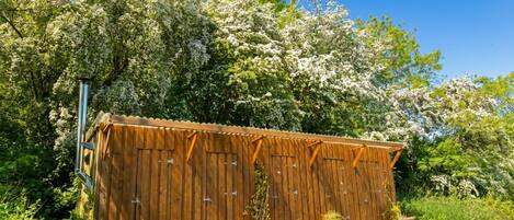 Un cobertizo de madera con techo de metal ondulado, rodeado de abundante vegetación y árboles en flor.