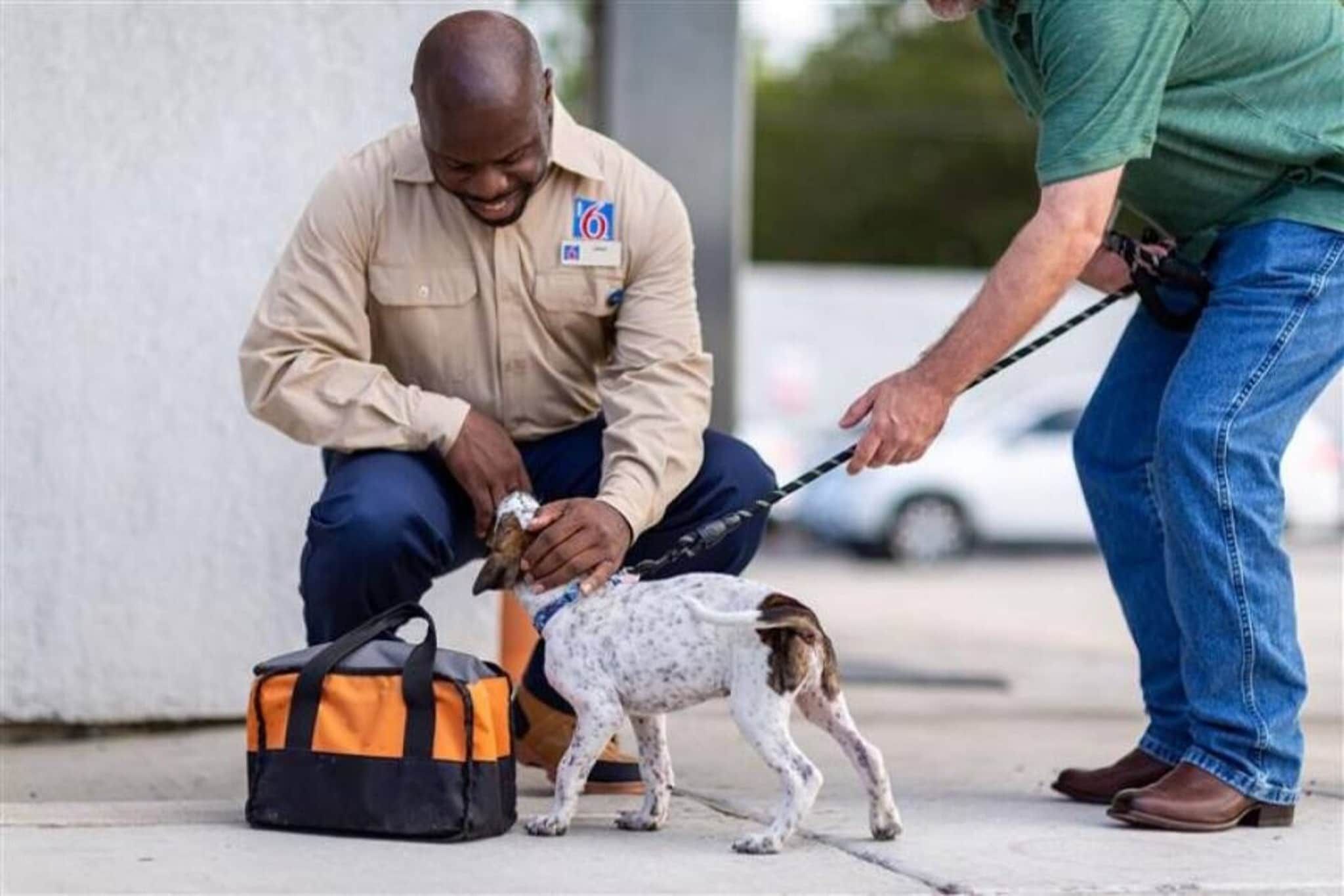 Una persona interactuando con un perro pequeño cerca de un bolso en el suelo.