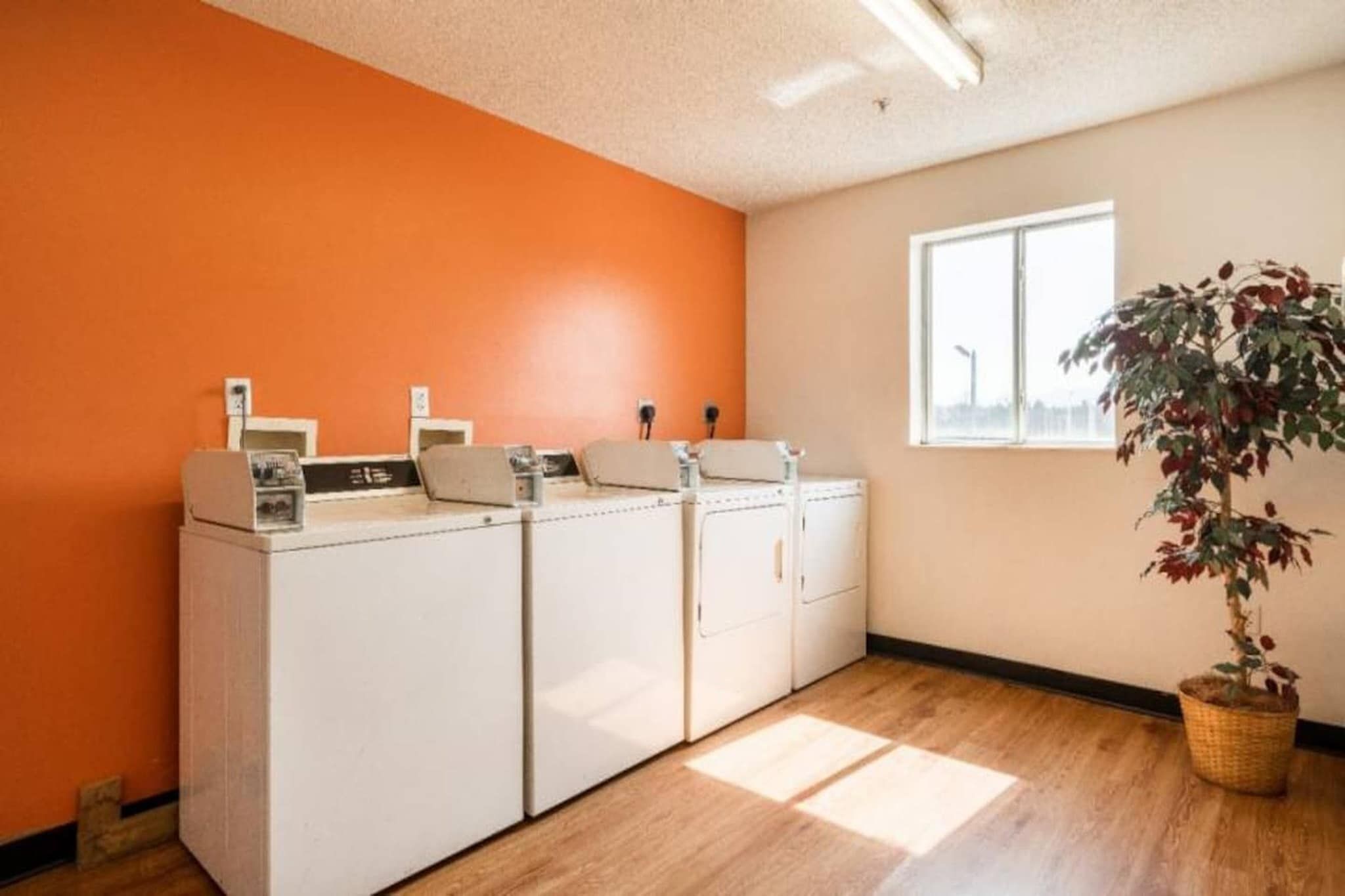 A laundry room with a large washing machine and dryer, a window, and a potted plant.