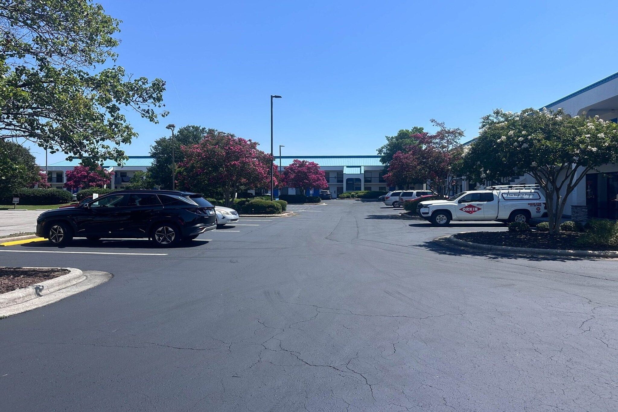 Um estacionamento com vários carros, um edifício com telhado azul e árvores com flores cor-de-rosa.