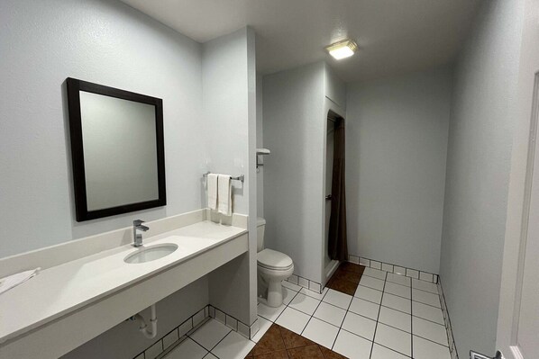 A bathroom with a white sink, a mirror, and a toilet.