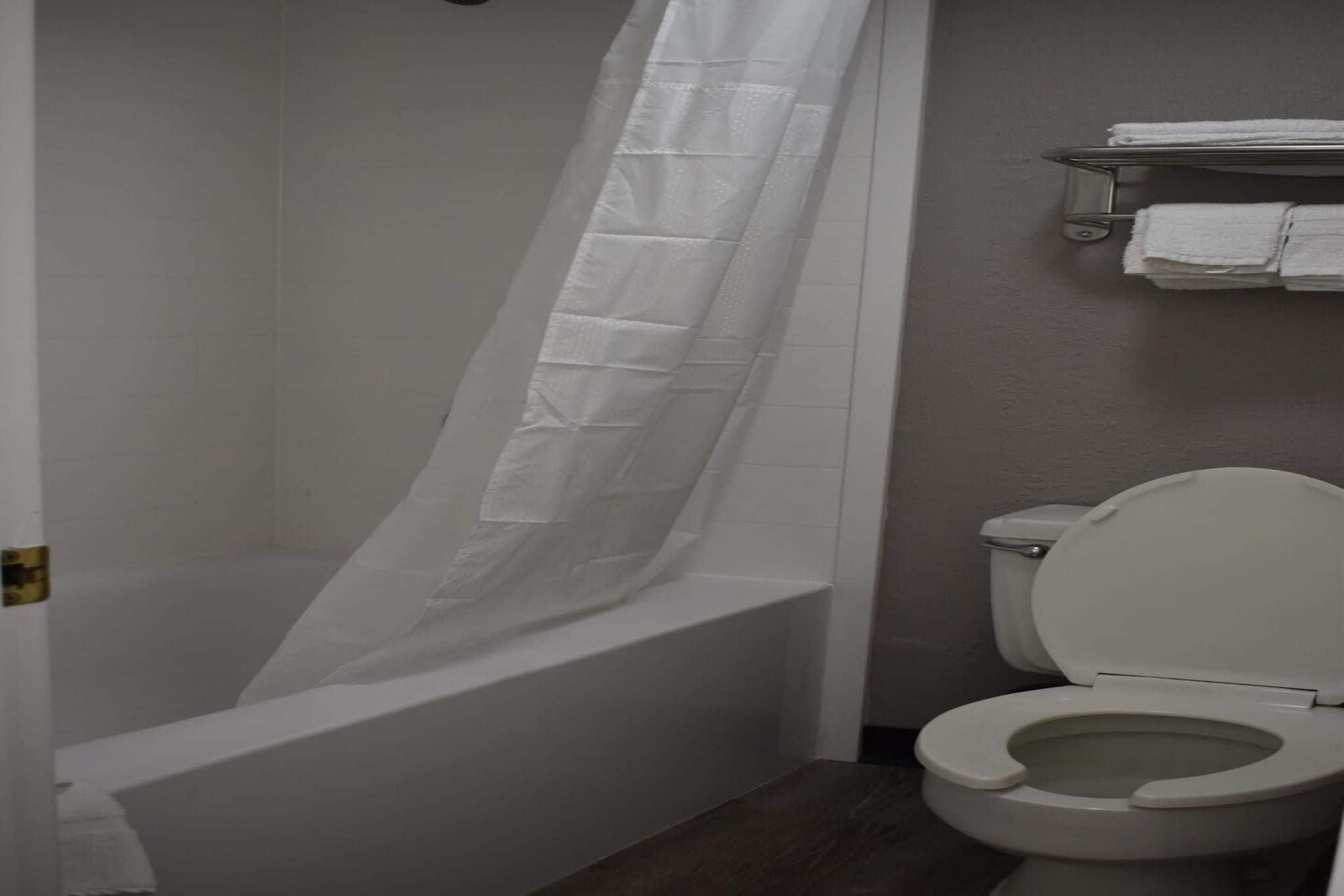 Een badkamer met een bad, toilet en douchegordijn.