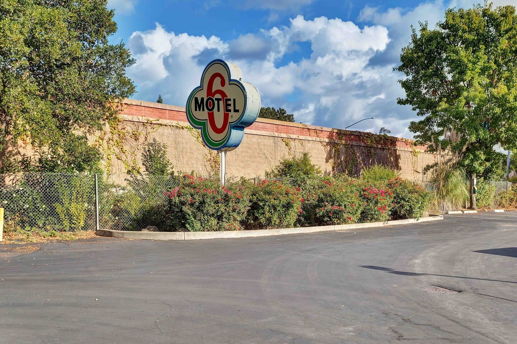 A motel sign with a number 6, surrounded by greenery and a brick wall.