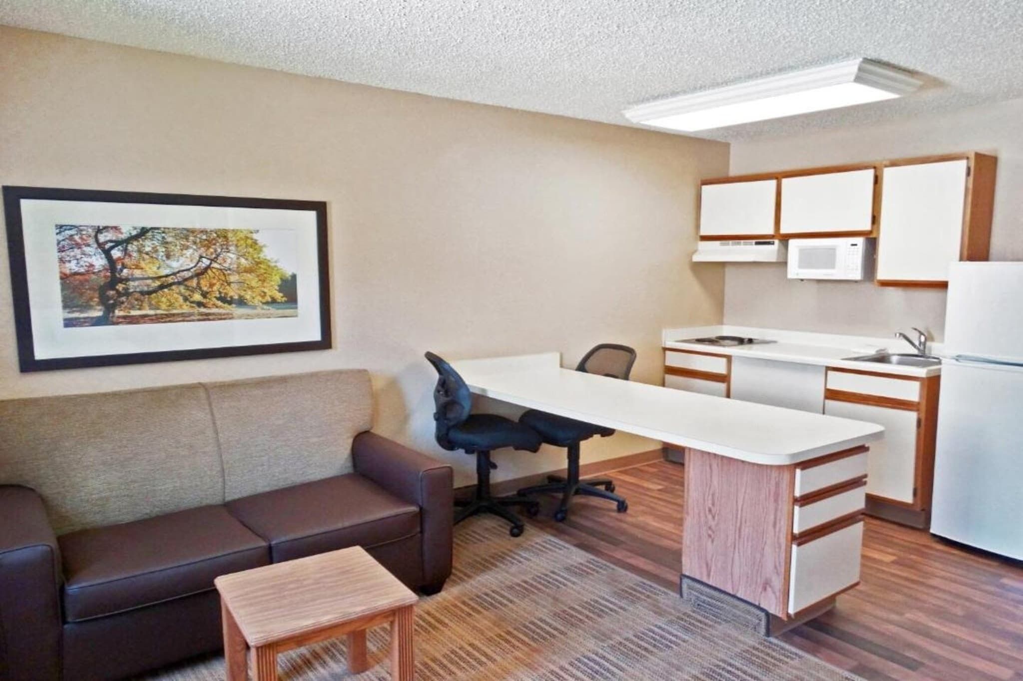 A compact living space with a kitchenette, a sofa, a dining table, and a framed picture on the wall.