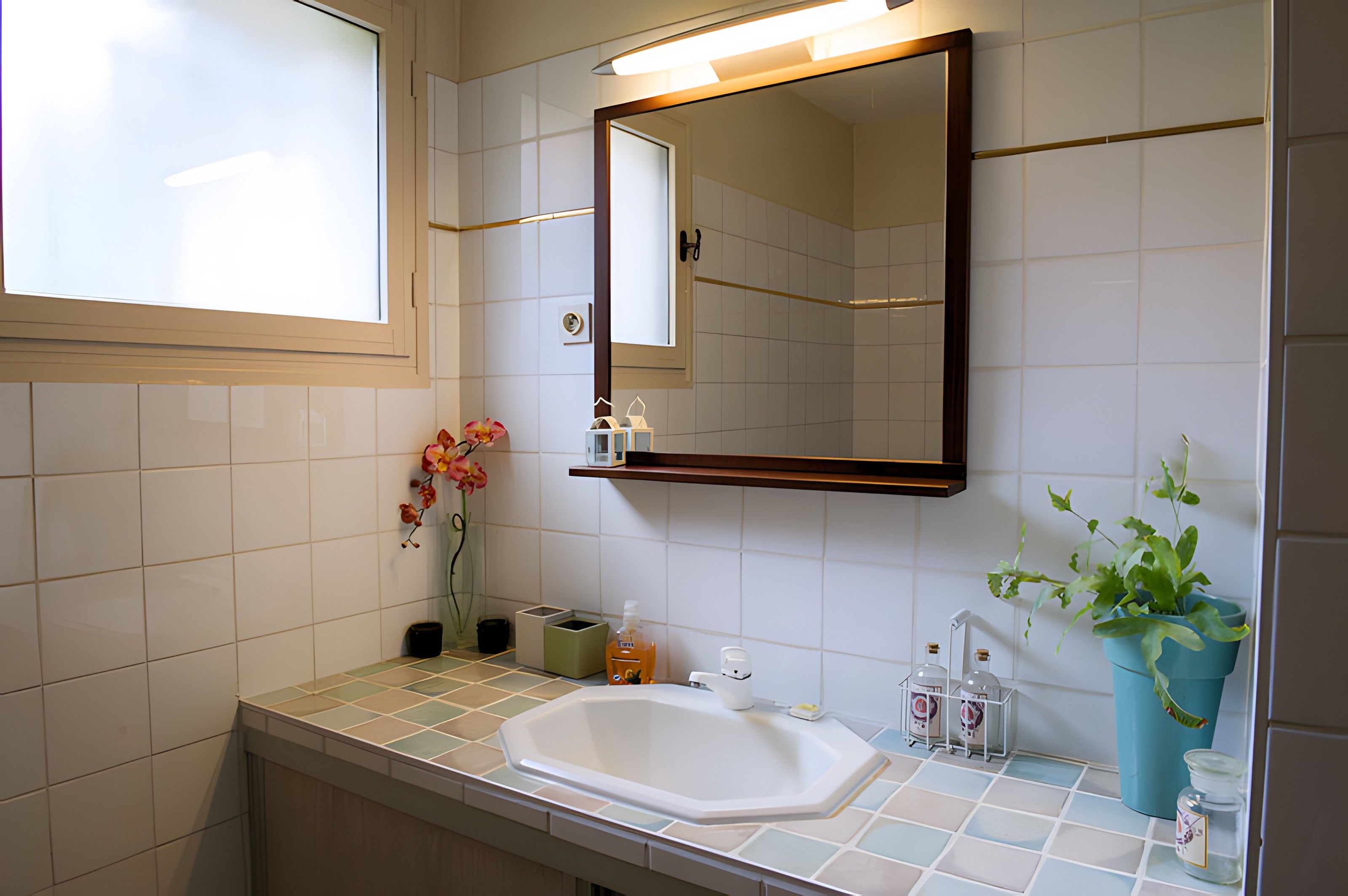 Une salle de bain avec un lavabo blanc, un miroir et une plante en pot.