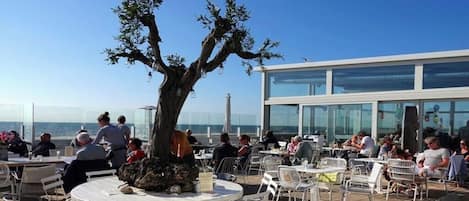 An outdoor seating area with tables and chairs, a large tree, and a building with large windows in the background.