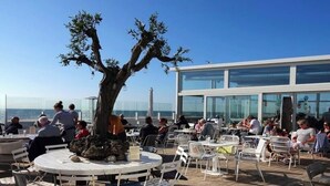 Un'area pranzo all'aperto con tavoli e sedie rotonde, un grande albero al centro e un edificio moderno con ampie finestre sullo sfondo.