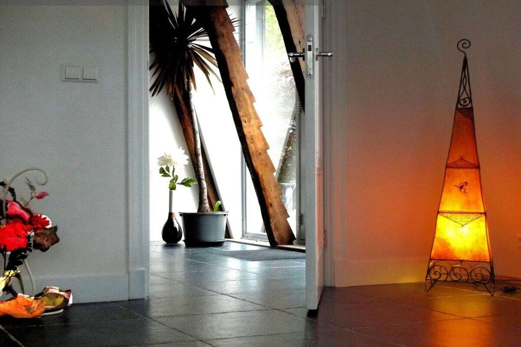 Een gang met een potplant, een deur en een wandlamp.