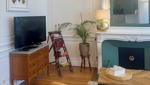 A room with a television on a wooden cabinet, a bookshelf, a potted plant, a fireplace, and a mirror.