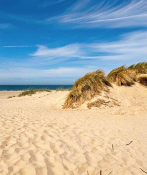 Een zandstrand met duinen en een helderblauwe lucht.