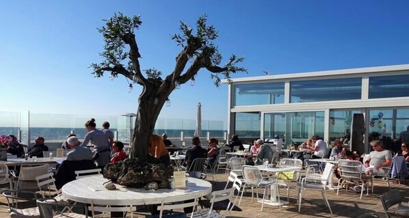 An outdoor seating area with tables and chairs, a large tree, and a building with large windows in the background. - Holiday apartment with 2 bedrooms (Limmen)