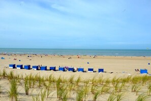 Une plage avec des cabanes de plage bleues et des personnes visibles au loin.