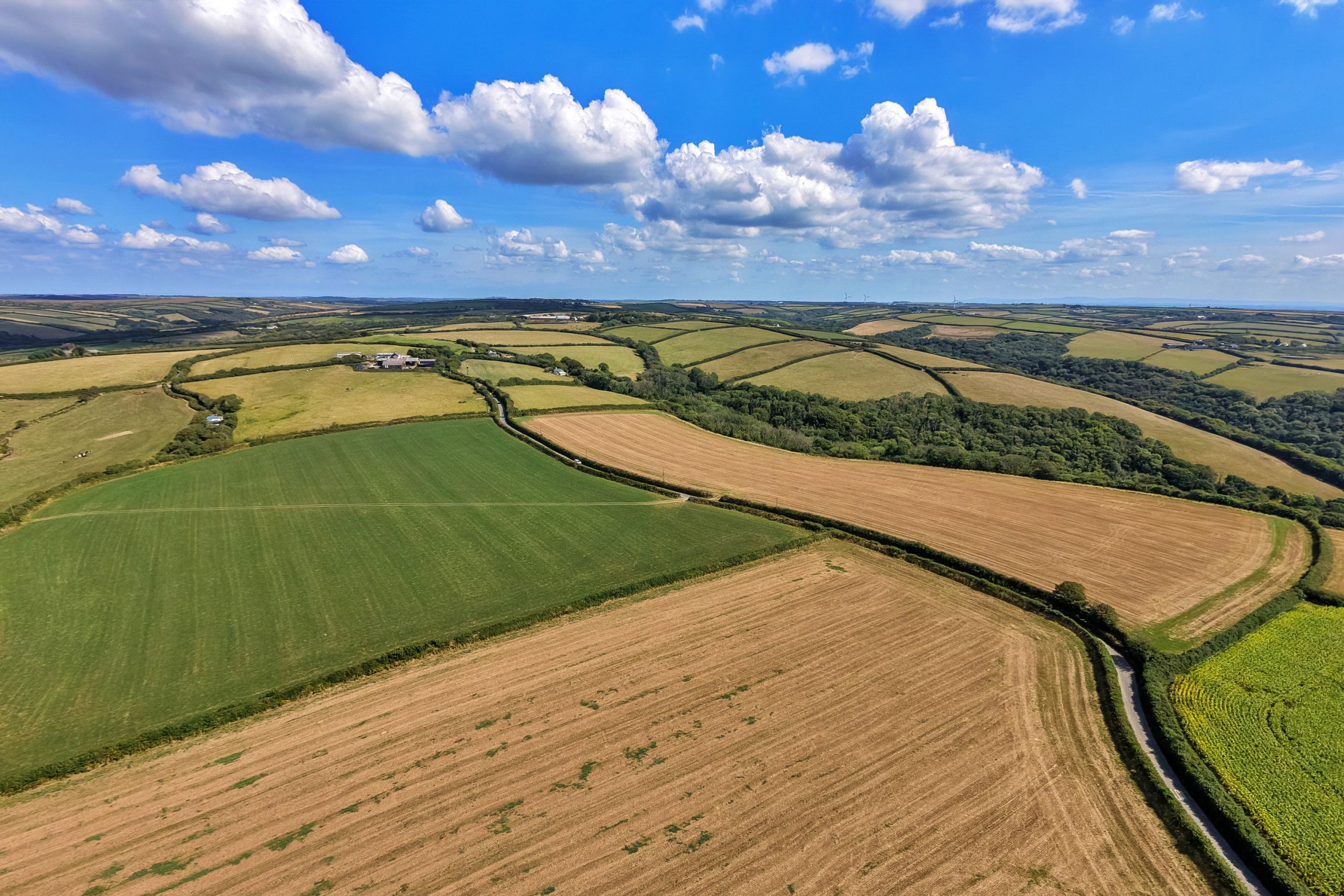 A rural landscape with rolling fields, a winding road, and distant wind turbines.