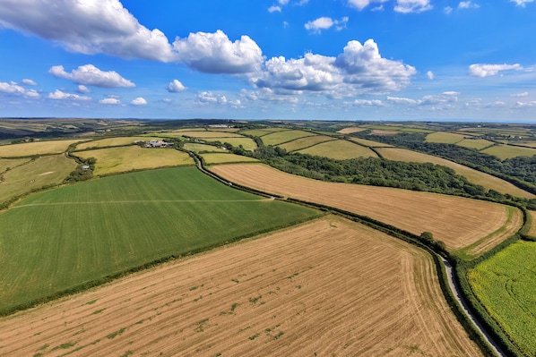 A rural landscape with rolling fields, a winding road, and distant wind turbines.