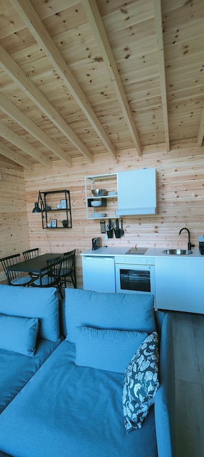 A modern kitchen with a built-in oven, a sink, and a countertop. - A lovingly decorated tiny house in the Blekinge archipelago in southern Sweden (Listerby)