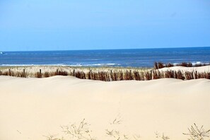 A beach with sand dunes and the ocean in the background. - Holiday apartment with 3 bedrooms (Castricum)
