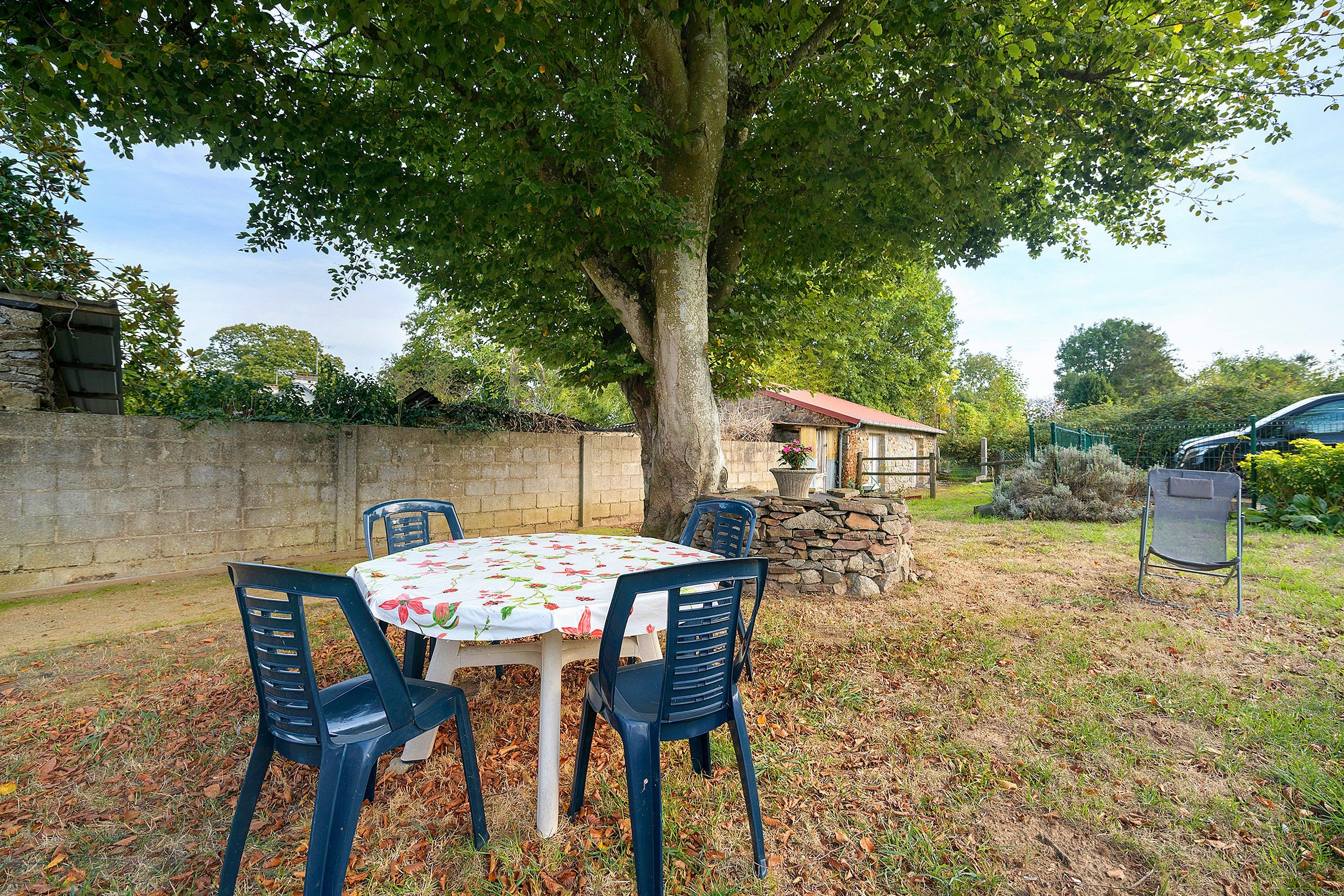 Un espace extérieur aménagé avec une table et des chaises sous un arbre, un mur de pierre et un petit bâtiment en arrière-plan.