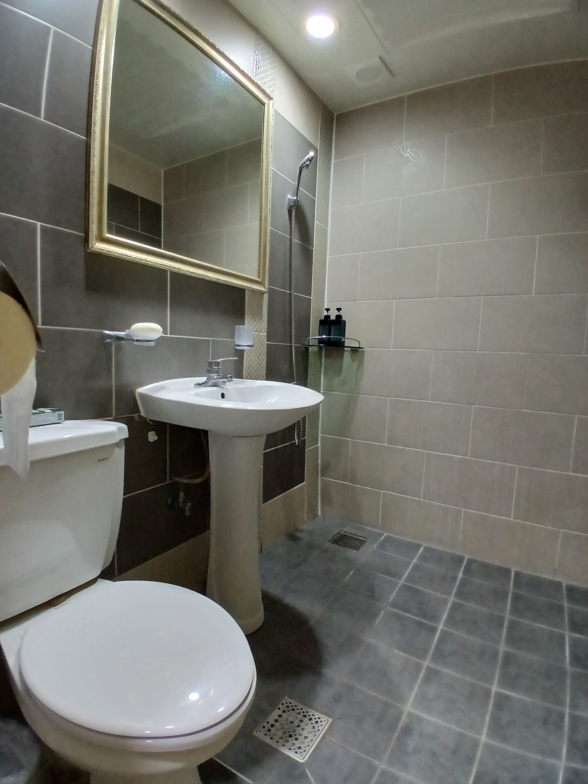 A bathroom with a toilet, sink, and shower.