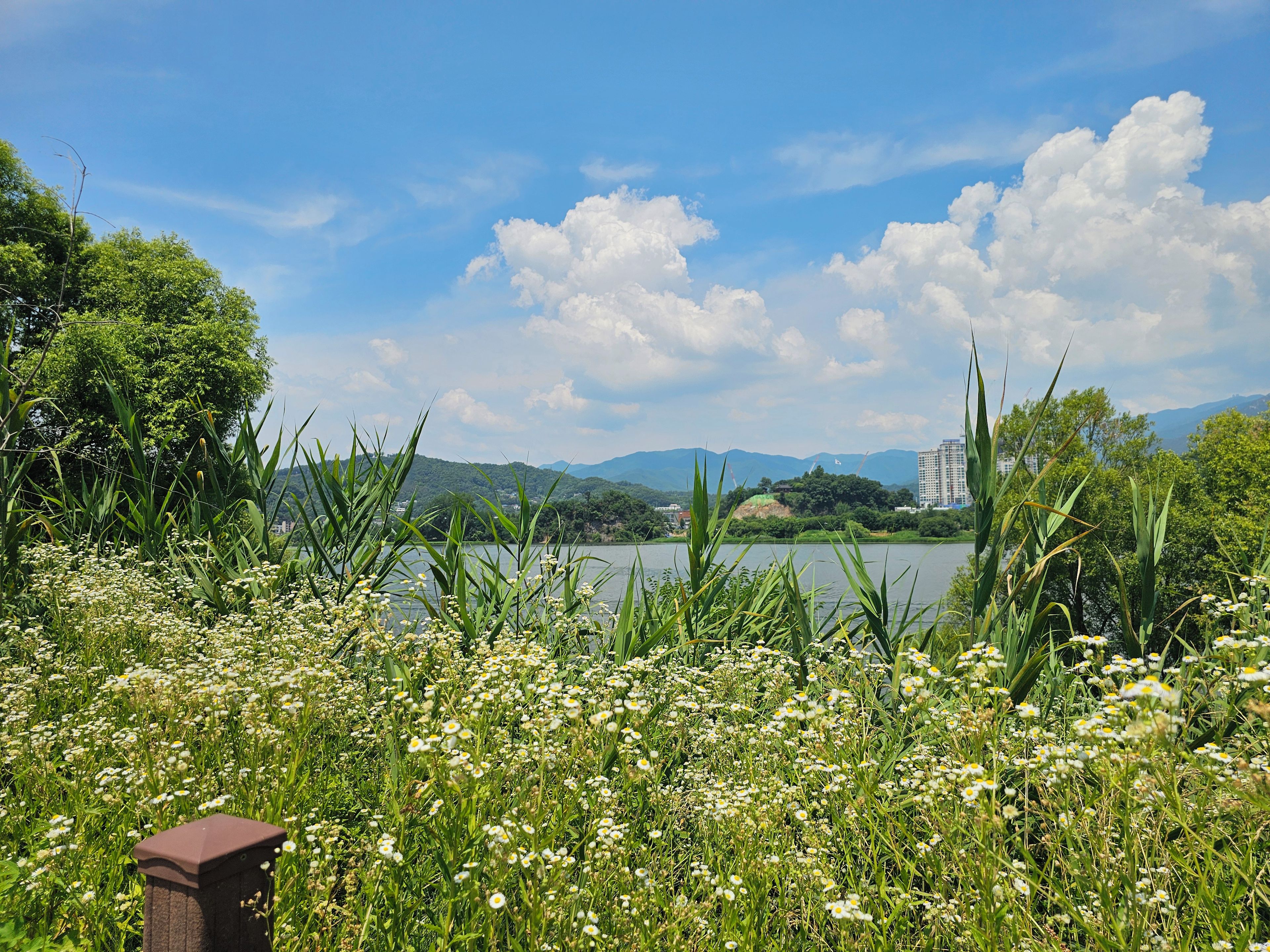 A natural landscape with a body of water, greenery, and distant buildings.