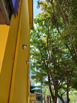 Un edificio amarillo con un árbol al fondo.