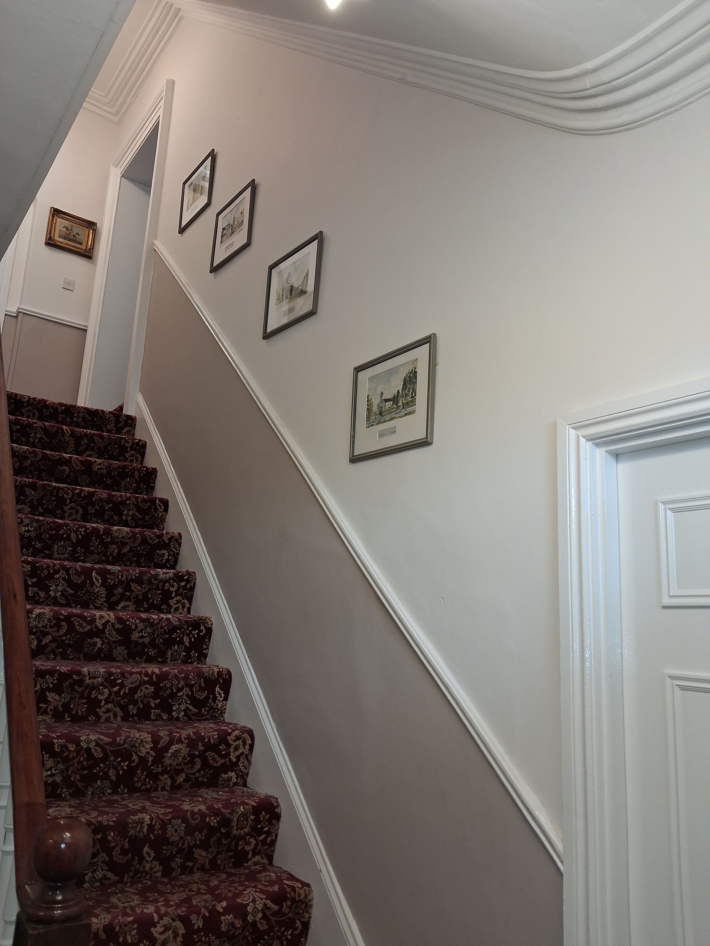 A staircase with a handrail and carpeted steps.