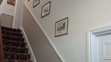 A staircase with a handrail and carpeted steps.