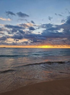 Beach - Blue Lotus House (Hikkaduwa)